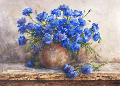 Васильки
